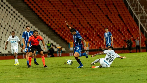 How Can Pet Ownership Impact Environmental Sustainability in the UK?